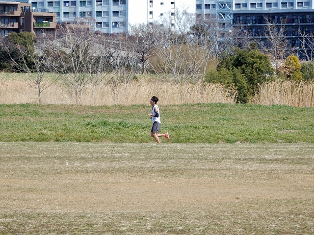 b0166128_10252571.jpg