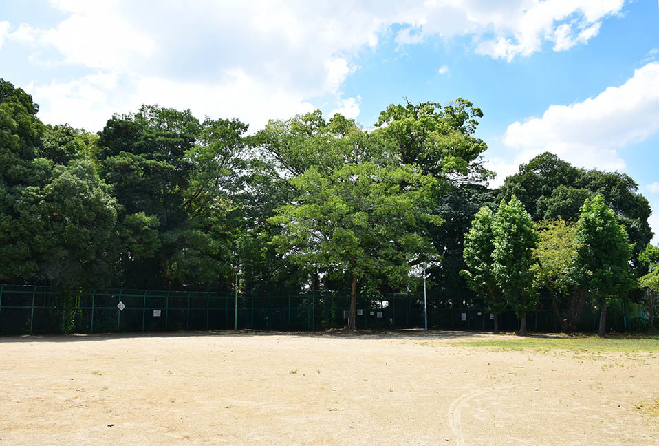 e0158128_21092513.jpg