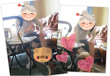 b0320131_12175661.png