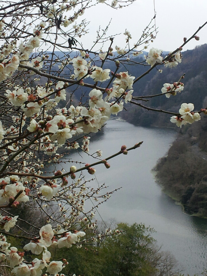 あれから2年_f0343531_18301352.jpg