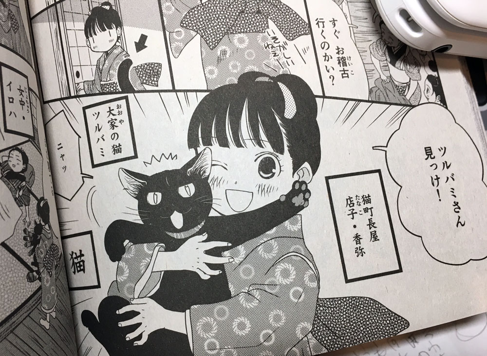 お江戸ねこぱんち 猫町長屋奇譚 山野りんりんの近況ブログ お江戸ねこぱんち 猫町長屋奇譚 山野りんりんの近況ブログ