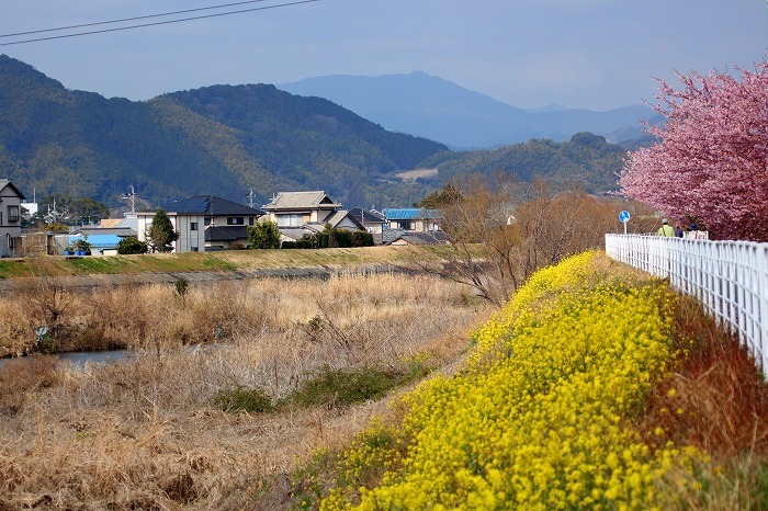 桜の風景_f0327034_21380304.jpg