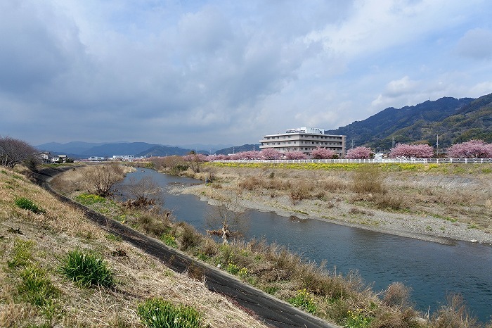 桜の風景_f0327034_21381963.jpg