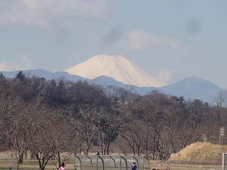 富士山を見ながら(3月8日、水）_c0147935_21231956.jpg