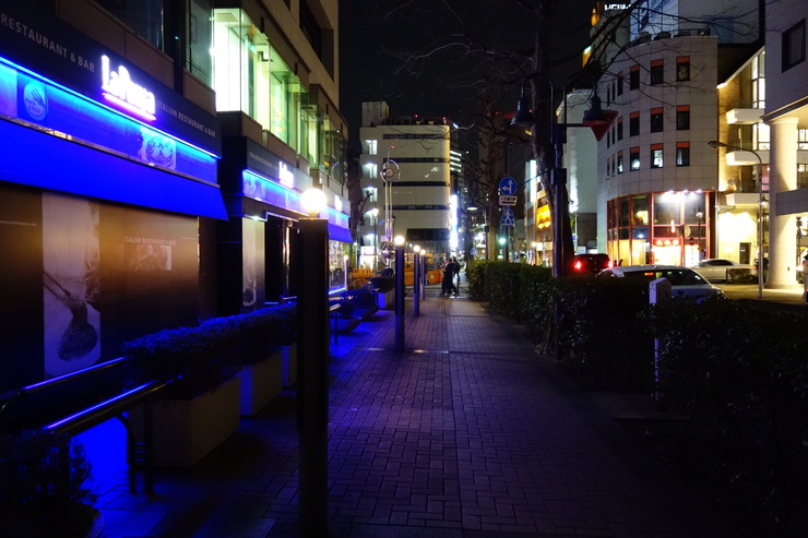 a0287336_1585975.jpg