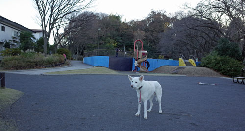 a0117039_23324731.jpg