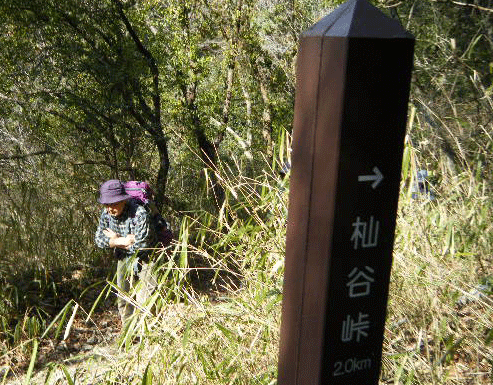 e0371039_23492830.gif