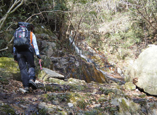 e0371039_23504544.gif