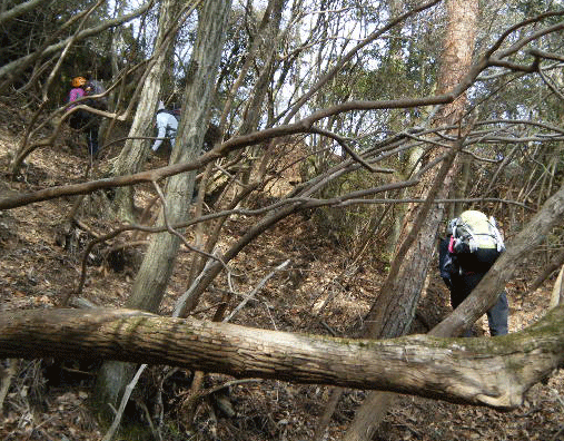 e0371039_23524016.gif