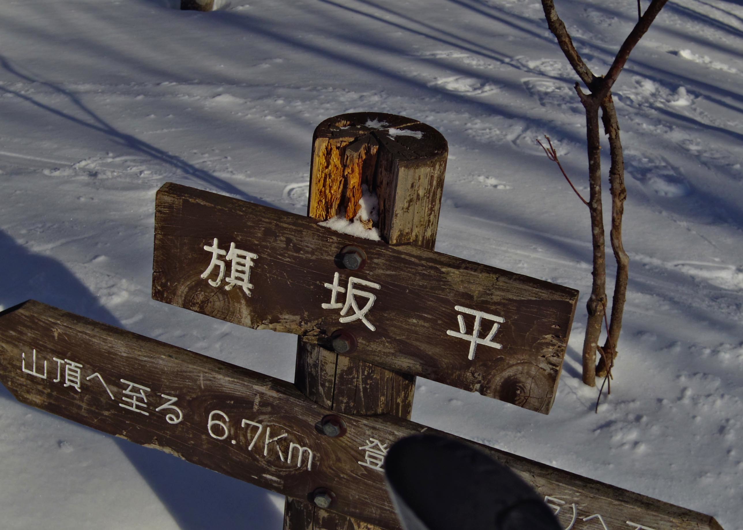 d0347140_11431446.jpg