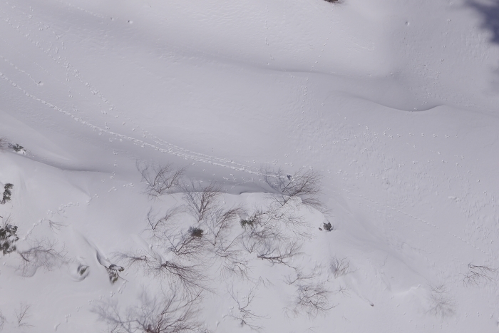 c0281841_11452014.jpg