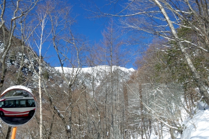 c0281841_11452507.jpg