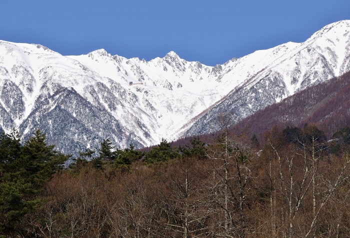 c0281841_11452632.jpg