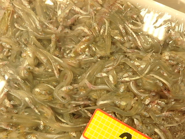 f0334143_12174228.jpg