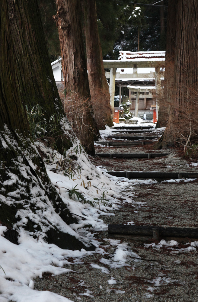 御所市　高天彦神社　雪景色_c0108146_2134394.jpg