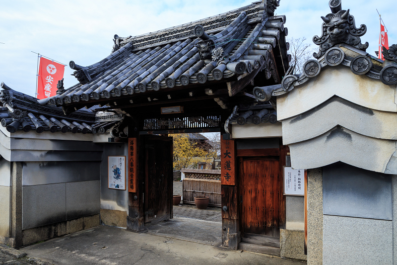 大蓮寺の蝋梅_f0155048_23542655.jpg