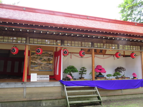 b0238249_2014826.jpg