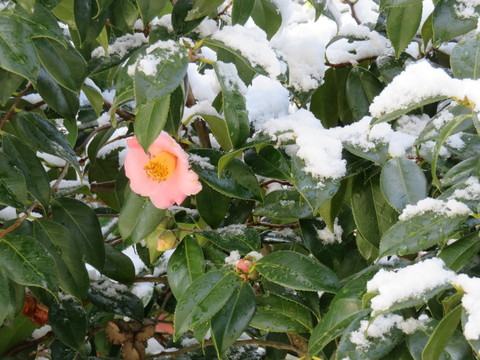 b0238249_20505171.jpg