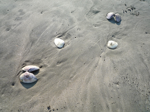 b0045357_8361315.jpg