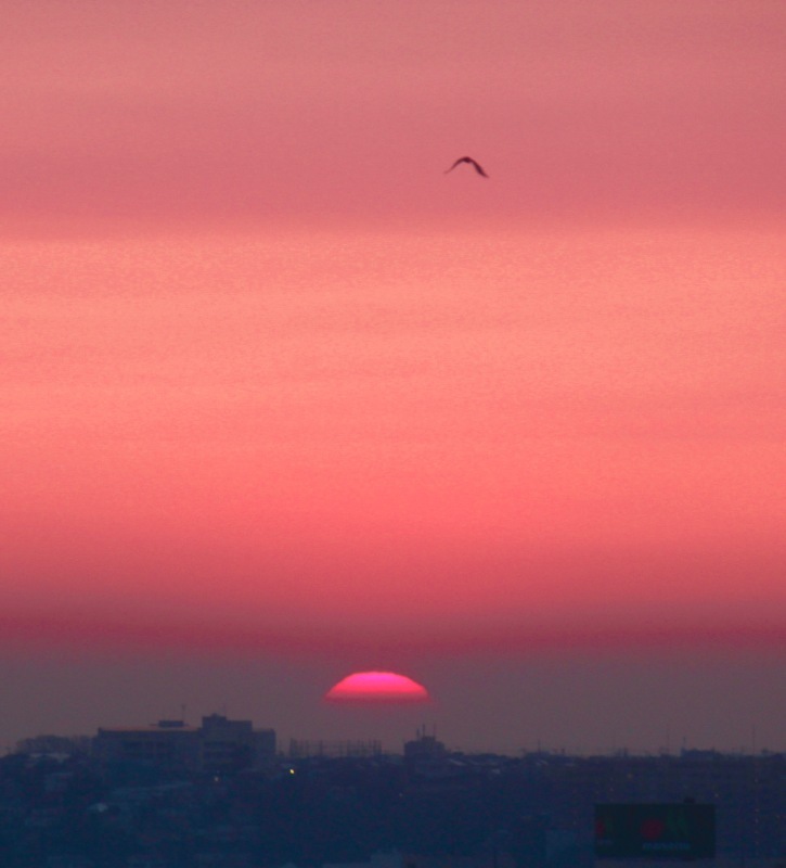 a0248459_13190811.jpg