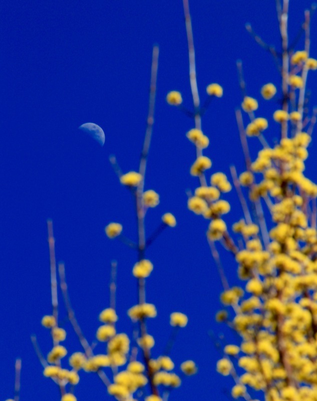 a0248459_13275739.jpg