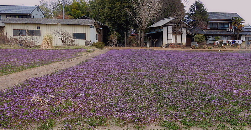 c0305565_18074448.jpg