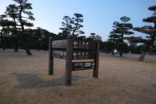 d0193569_9255741.jpg