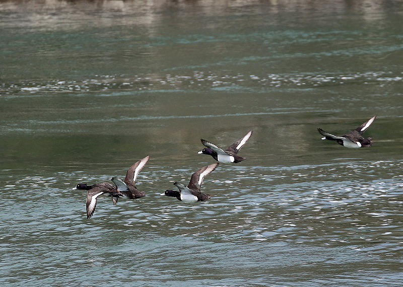 a0105680_22042299.jpg