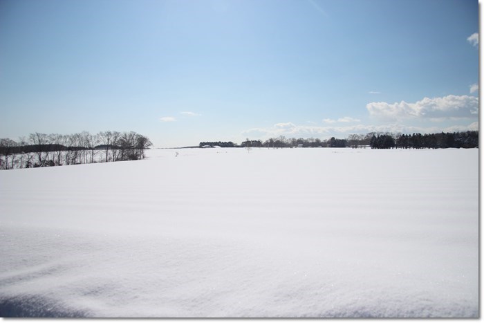 f0146493_23225314.jpg
