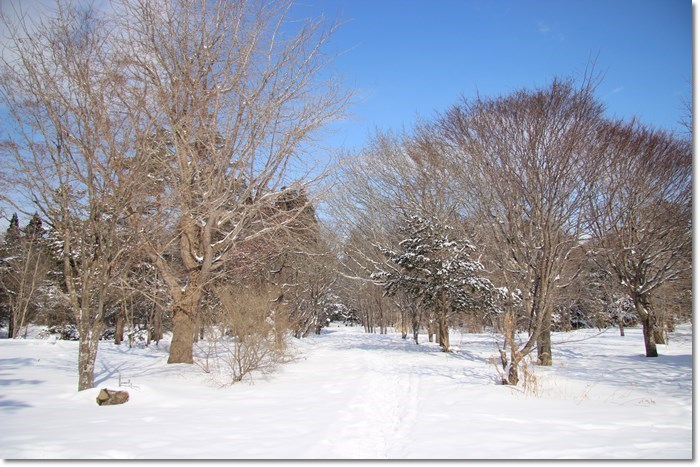 f0146493_23230309.jpg