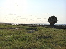 f0370494_20273022.jpg