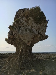 f0370494_20300031.jpg