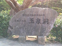 f0370494_20392619.jpg