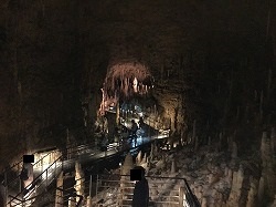 f0370494_20394799.jpg