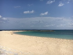f0370494_20495323.jpg