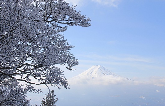 三ツ峠山・・まだ冬山です(2017/3/4)_a0158702_15543099.jpg