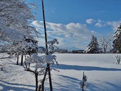 春の雪_c0336902_21253644.jpg