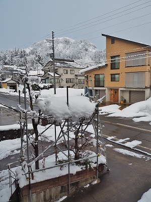 春の雪_c0336902_21253999.jpg