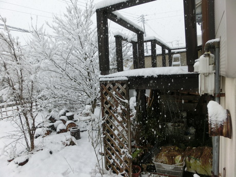 a0203003_21523257.jpg