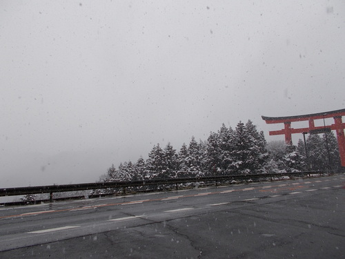 島根県　津和野町　つわの暮らし推進課　_c0192503_2131895.jpg