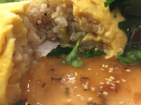 喫茶 1er ぷるみえ (鶏ミンチと白葱のご飯 自家製梅干しあんかけソース)_e0115904_07332299.jpg
