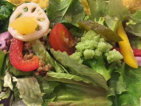 喫茶 1er ぷるみえ (鶏ミンチと白葱のご飯 自家製梅干しあんかけソース)_e0115904_07445452.jpg