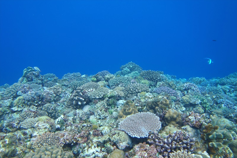 b0110406_14083260.jpg