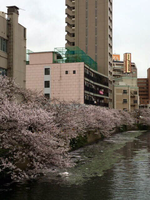 c0134408_22110219.jpg