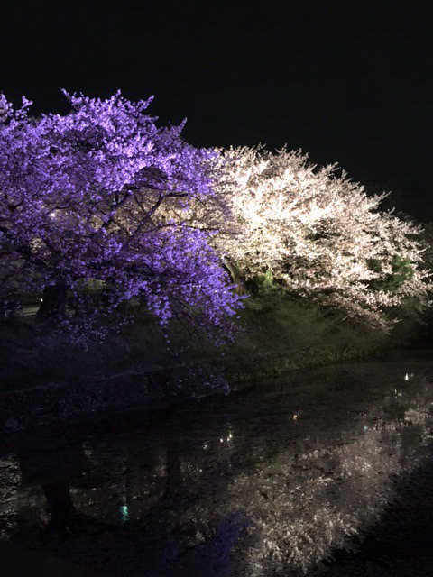 c0134408_22110340.jpg