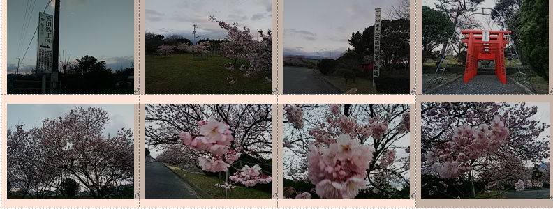 f0231709_2054395.png