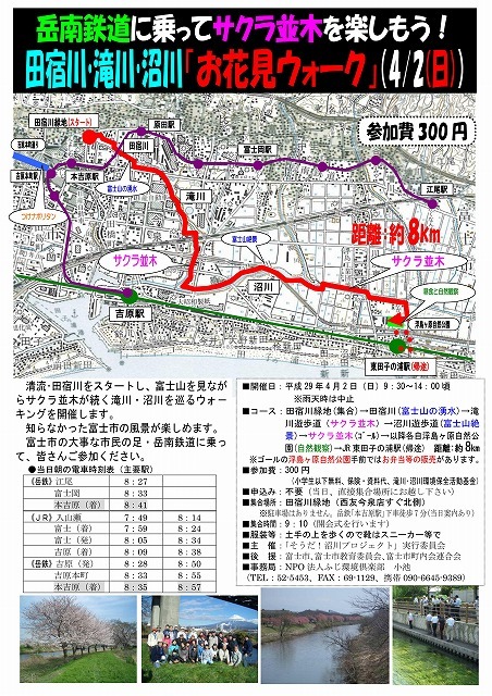 今年の田宿川・滝川・沼川沿いを歩いて浮島ヶ原自然公園に向かう「お花見ウォーク」は4月2日_f0141310_07155973.jpg
