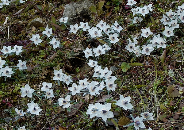 a0164011_12163948.jpg
