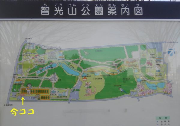 d0224111_19555876.jpg