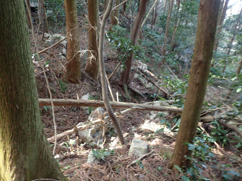 e0293913_17363349.jpg